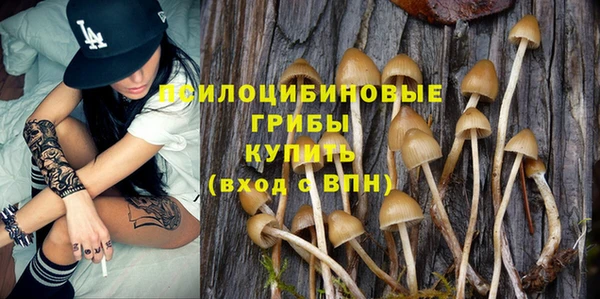героин Алексин