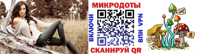 купить   Благодарный  Галлюциногенные грибы прущие грибы 
